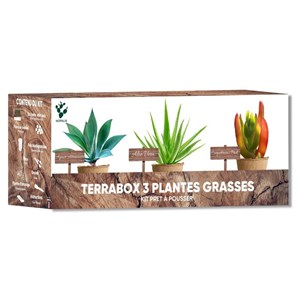 Nopalia® kit plantes grasses & aloe vera à faire pousser