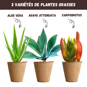 Nopalia® kit plantes grasses & aloe vera à faire pousser
