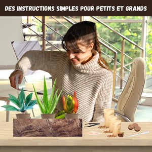 Nopalia® kit plantes grasses & aloe vera à faire pousser