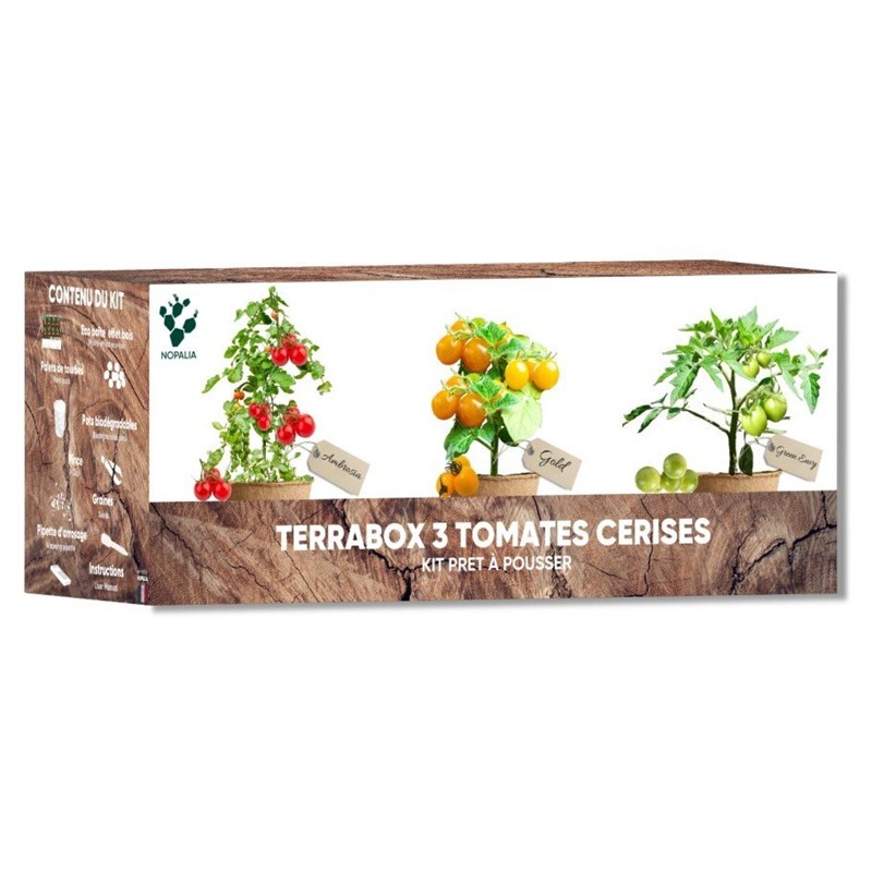 Nopalia - Nopalia® kit tomates cerises bio – mini potager intérieur - culture facile & diy