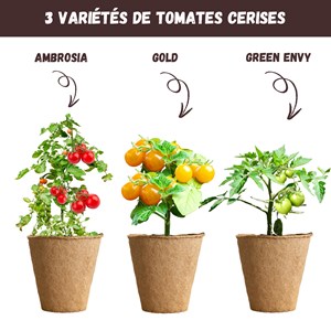 Nopalia® kit tomates cerises bio – mini potager intérieur - culture facile & diy