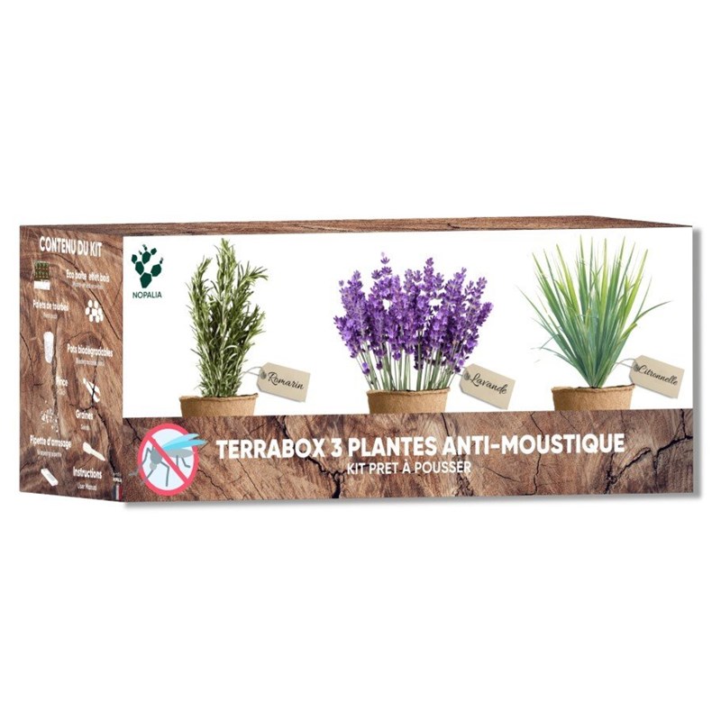 Kit plantes anti-moustique – citronnelle, lavande & romarin – répulsif naturel