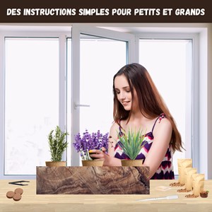 Kit plantes anti-moustique – citronnelle, lavande & romarin – répulsif naturel
