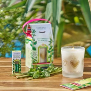 Concentré citronnelle et menthe