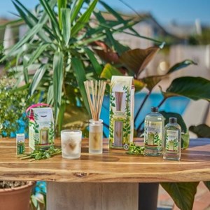 Recharge bouquet parfumé 200ml citronnelle et menthe