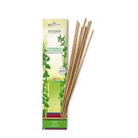 Encens indiens citronnelle et menthe