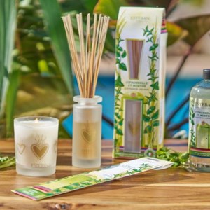 Encens indiens citronnelle et menthe