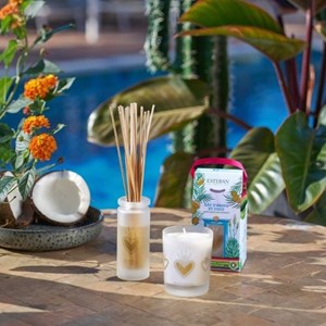 Bougie parfumée rechargeable 180g eau d'agave et coco