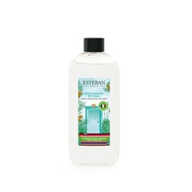 Recharge bouquet parfumé 200ml eau d'agave et coco