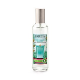 Vaporisateur 100ml eau d'agave et coco