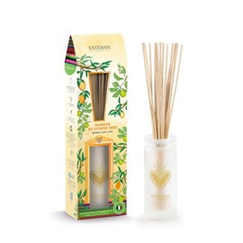 Bouquet parfumée 100ml mangue et citron vert