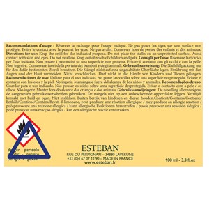 Bouquet parfumée 100ml mangue et citron vert