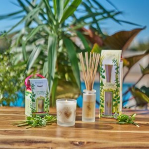 Bouquet parfumée 100ml citronnelle et menthe