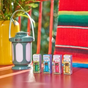 Concentré fleur d'hibiscus