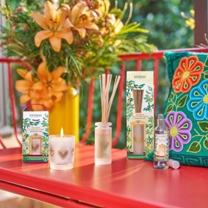 Bougie parfumée rechargeable 180g mangue et citron vert