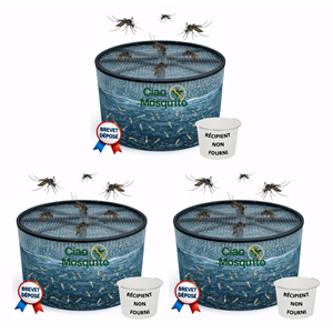 Piège à larves sans récipient 3 pièces