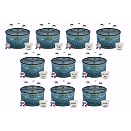 Piège à larves sans récipient 10 pièces