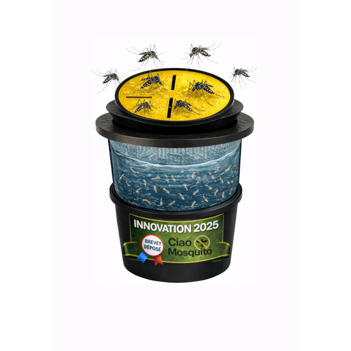Pige Moustique Castoramanull