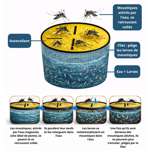 Piège à moustique sans récipient 4 kits