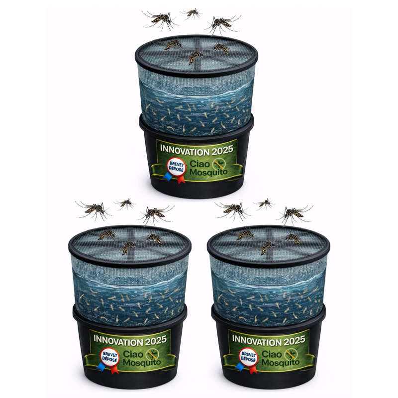 Lot de 3 pièges à larves avec seau