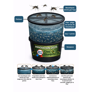 Piège larves moustique tigre 6 pièces