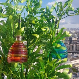 Pièges à guêpes en verre coloré - lot de