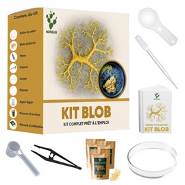 Nopalia® kit blob vivant – expérience scientifique complète – ton blob en 24h