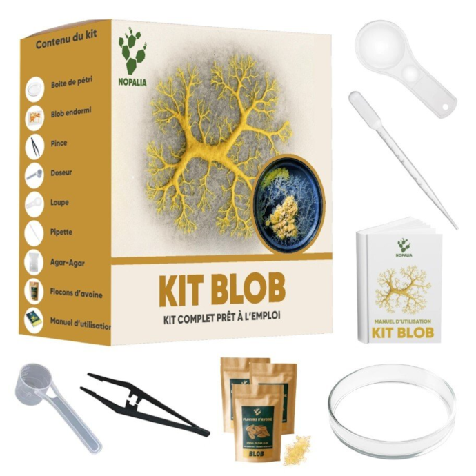 Kit Coffret d'élevage de Blob - Kit de Culture de Blob Vivant, kit de culture bl