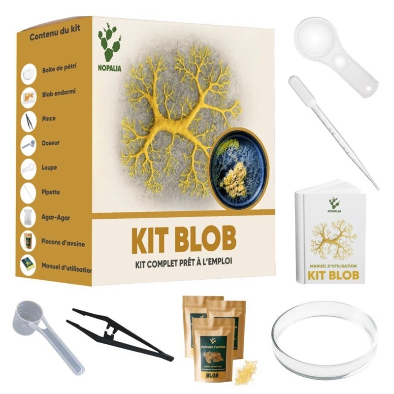 Nopalia® kit blob vivant – expérience scientifique complète – ton blob en 24h