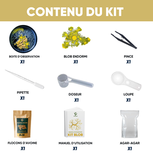 Nopalia® kit blob vivant – expérience scientifique complète – ton blob en 24h