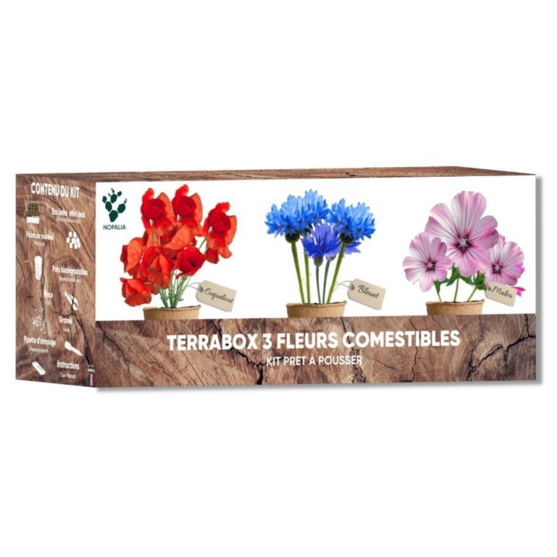 Nopalia® kit fleurs comestibles – graines bio coquelicot, mauve, bleuet