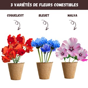 Nopalia® kit fleurs comestibles – graines bio coquelicot, mauve, bleuet