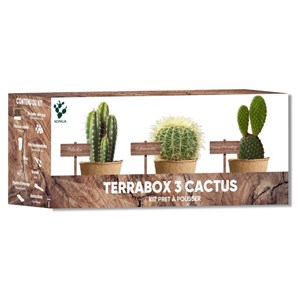 Nopalia® kit cactus - mini kit prêt à pousser  - plantes grasses déco intérieure