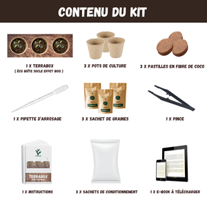 Nopalia® kit cactus - mini kit prêt à pousser  - plantes grasses déco intérieure