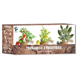 Kit mini fruitiers bio prêt à pousser – fraise, myrtille & mini citronnier