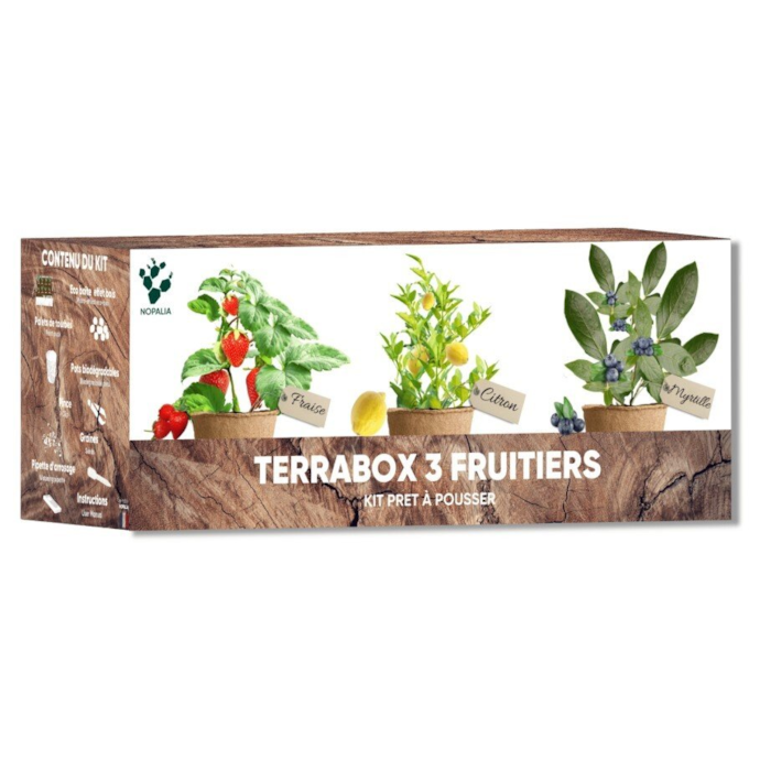 Kit mini fruitiers bio prêt à pousser – fraise, myrtille & mini citronnier