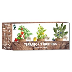 Kit mini fruitiers bio prêt à pousser – fraise, myrtille & mini citronnier