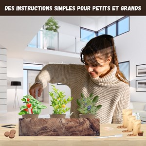 Kit mini fruitiers bio prêt à pousser – fraise, myrtille & mini citronnier