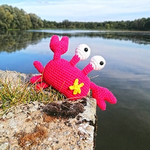 Kit crochet - crusty le crabe
