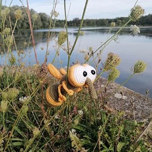 Kit crochet - kuki la mouche