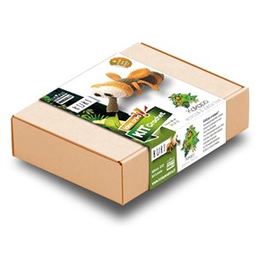 Kit crochet - kuki la mouche