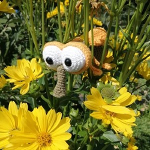 Kit crochet - kuki la mouche