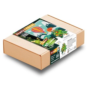 Kit canevas - montgolfières et sommets