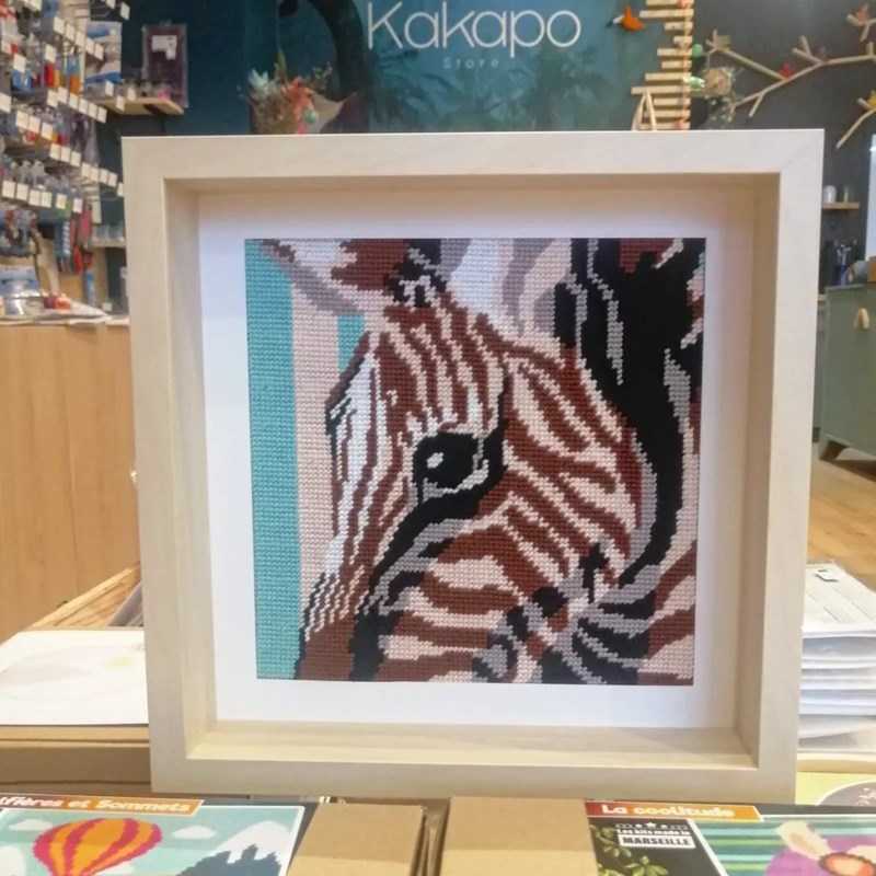 Kit canevas - equus zebra