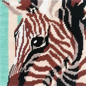 Kit canevas - equus zebra