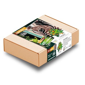 Kit canevas - equus zebra