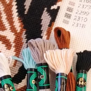 Kit canevas - equus zebra