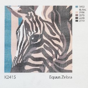 Kit canevas - equus zebra