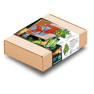 Kit canevas - renard rusé