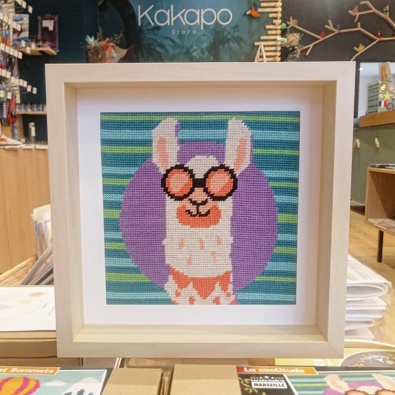 Kit canevas - la coolitude